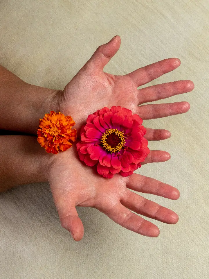 main avec des fleurs rouge dans la paume