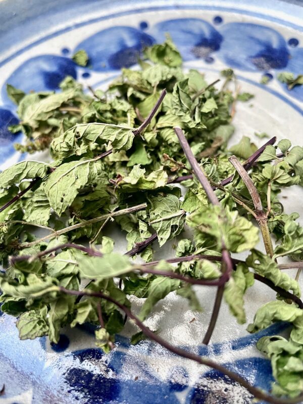 Menthe poivrée – Image 3