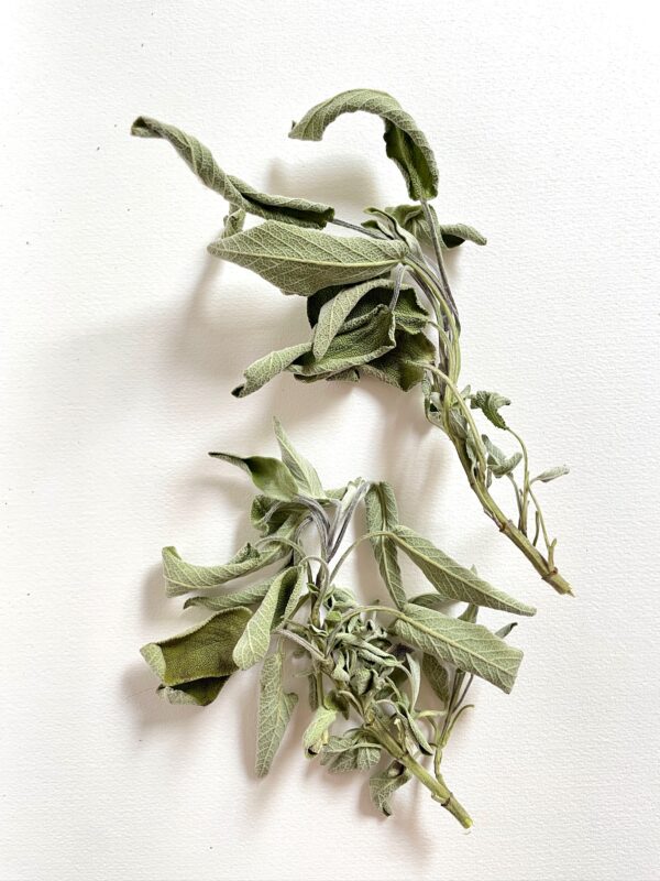 Sachet de Sauge – Image 4