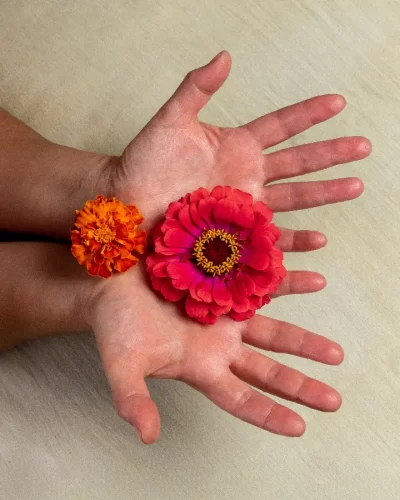 main avec des fleurs rouge dans la paume